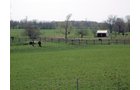 Property photo 1 - 188 Acres Offered in 5 Tracts